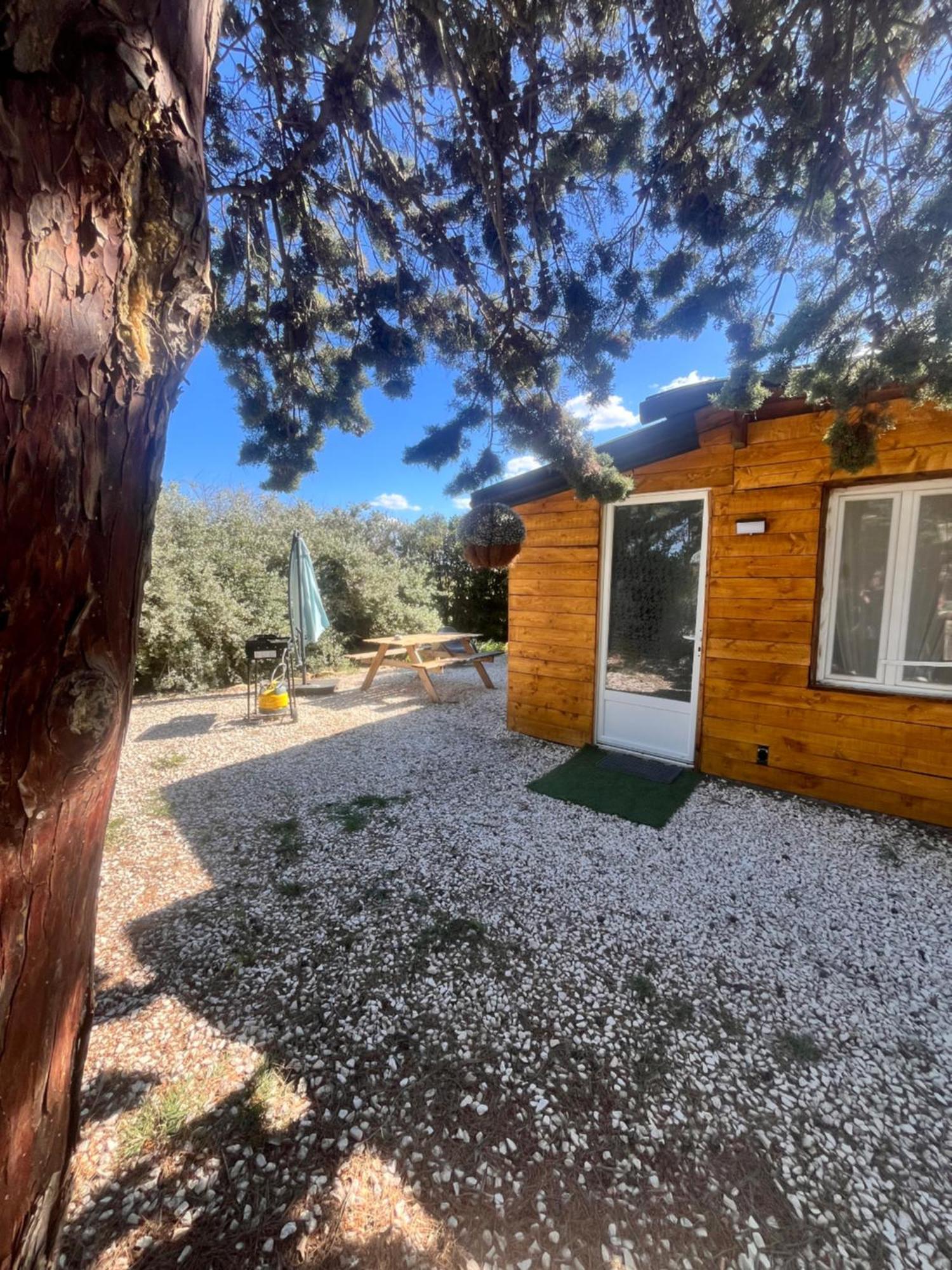 Location T3 Jardin Avec Piscine Villa Meze Bagian luar foto